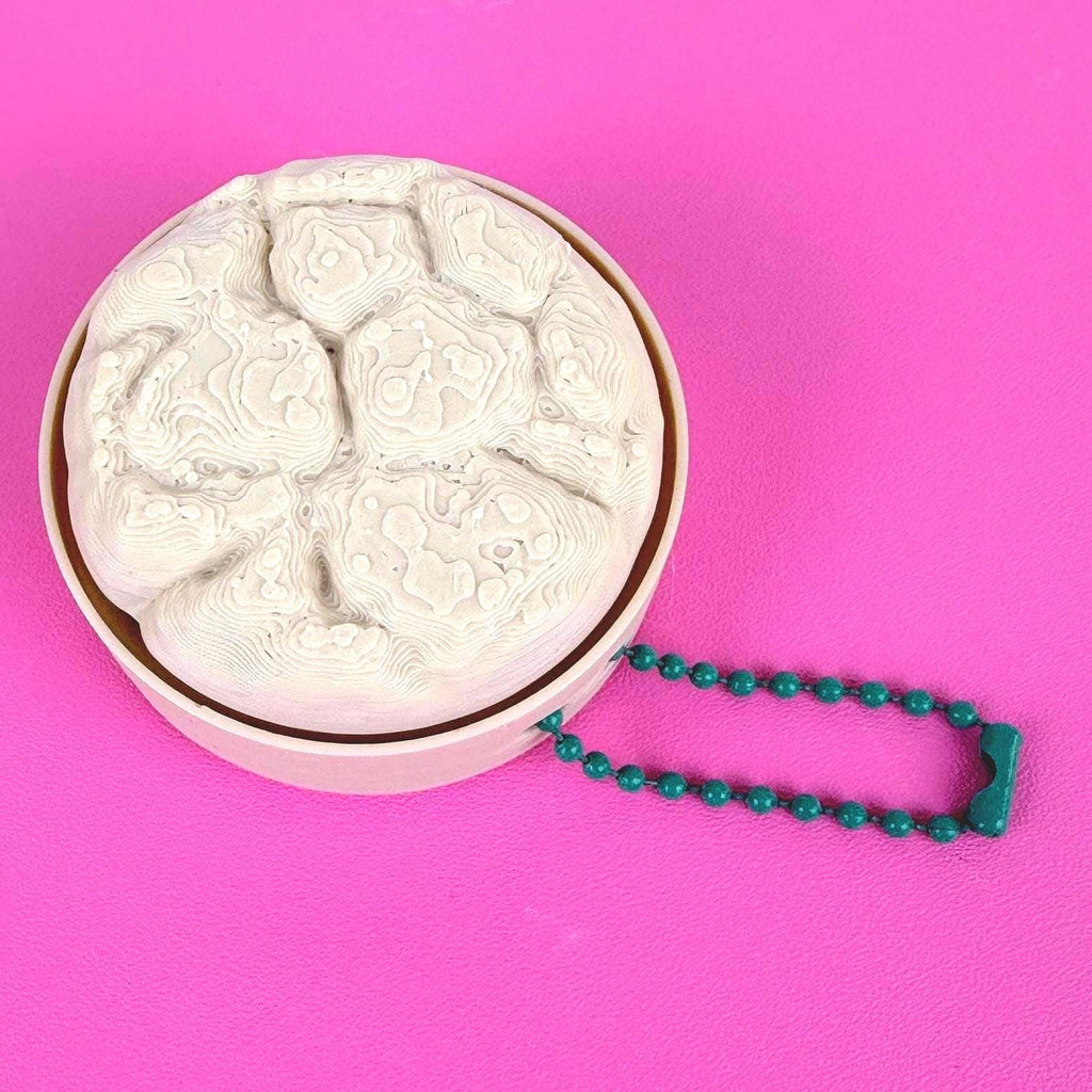 Realistic Cookie Fidget Clicker Keychain – Chocolate Chip or Sugar Cookie