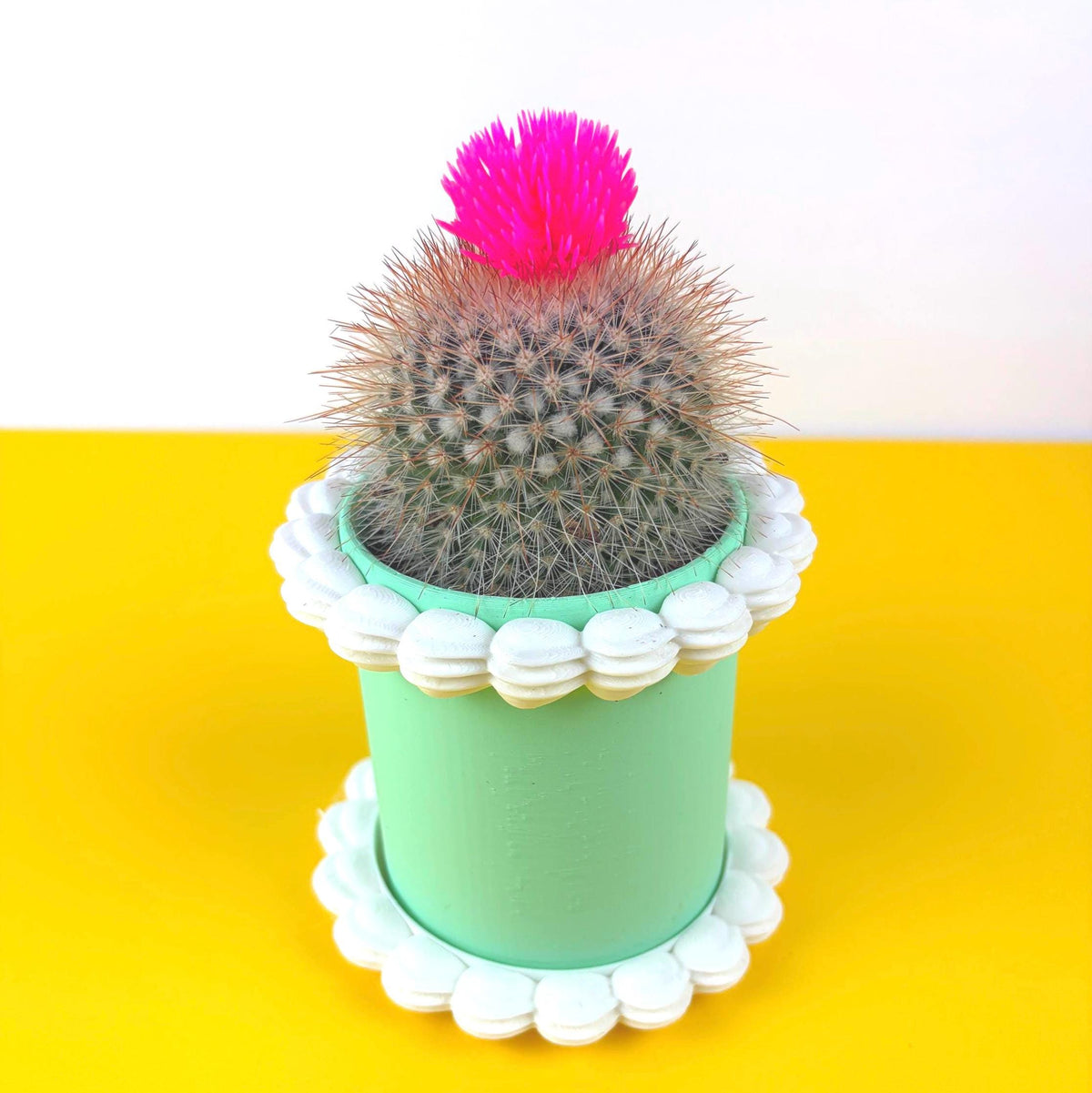 Fake Cake Planter for Small Potted Plant Faux Dessert Decor - Multiple Colors Available