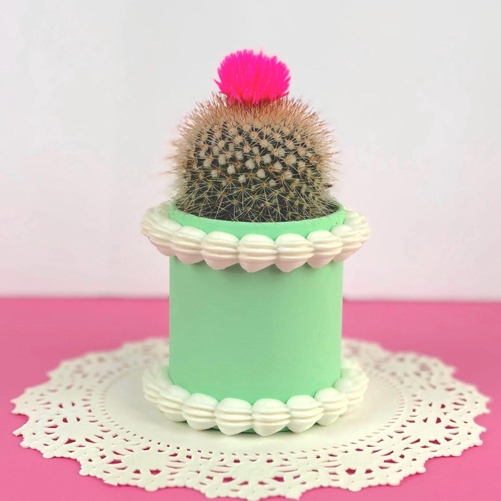 Fake Cake Planter for Small Potted Plant Faux Dessert Decor - Multiple Colors Available