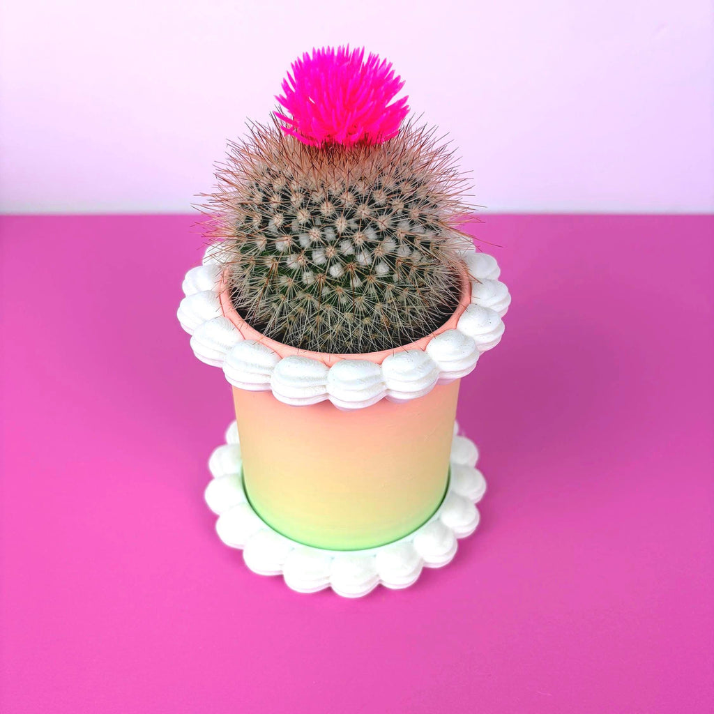 Fake Cake Planter for Small Potted Plant Faux Dessert Decor - Multiple Colors Available