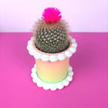 Fake Cake Planter for Small Potted Plant Faux Dessert Decor - Multiple Colors Available