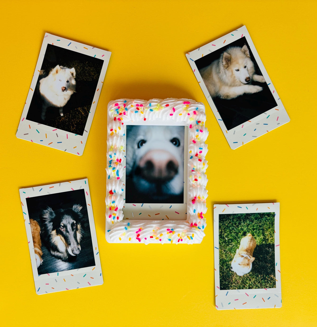 Instax Mini Fake Cake with Sprinkles Magnetic Frame