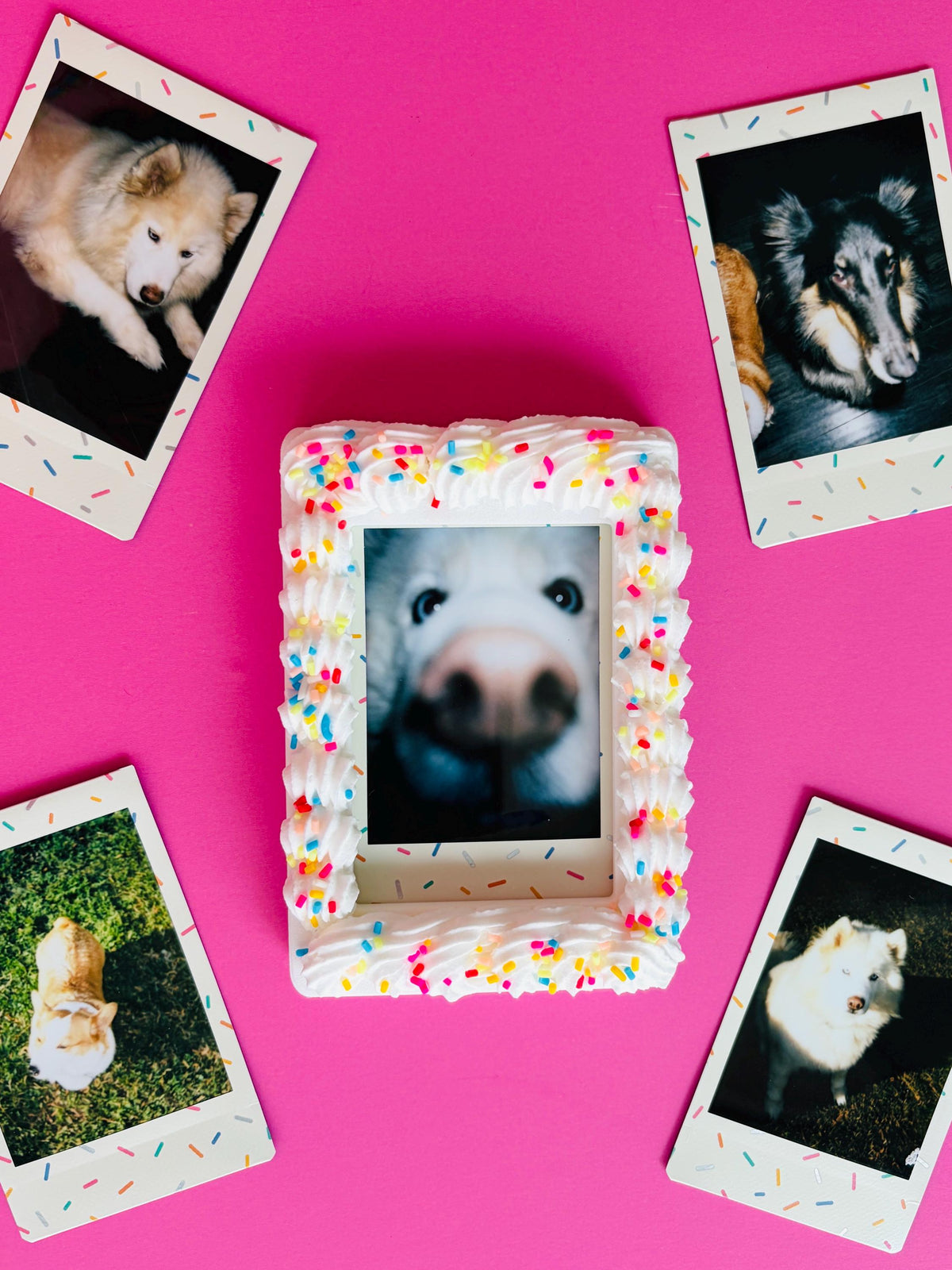 Instax Mini Fake Cake with Sprinkles Magnetic Frame