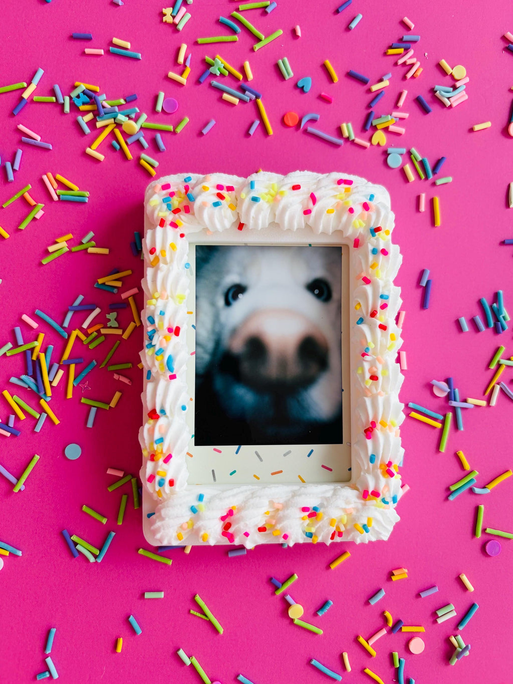 Instax Mini Fake Cake with Sprinkles Magnetic Frame
