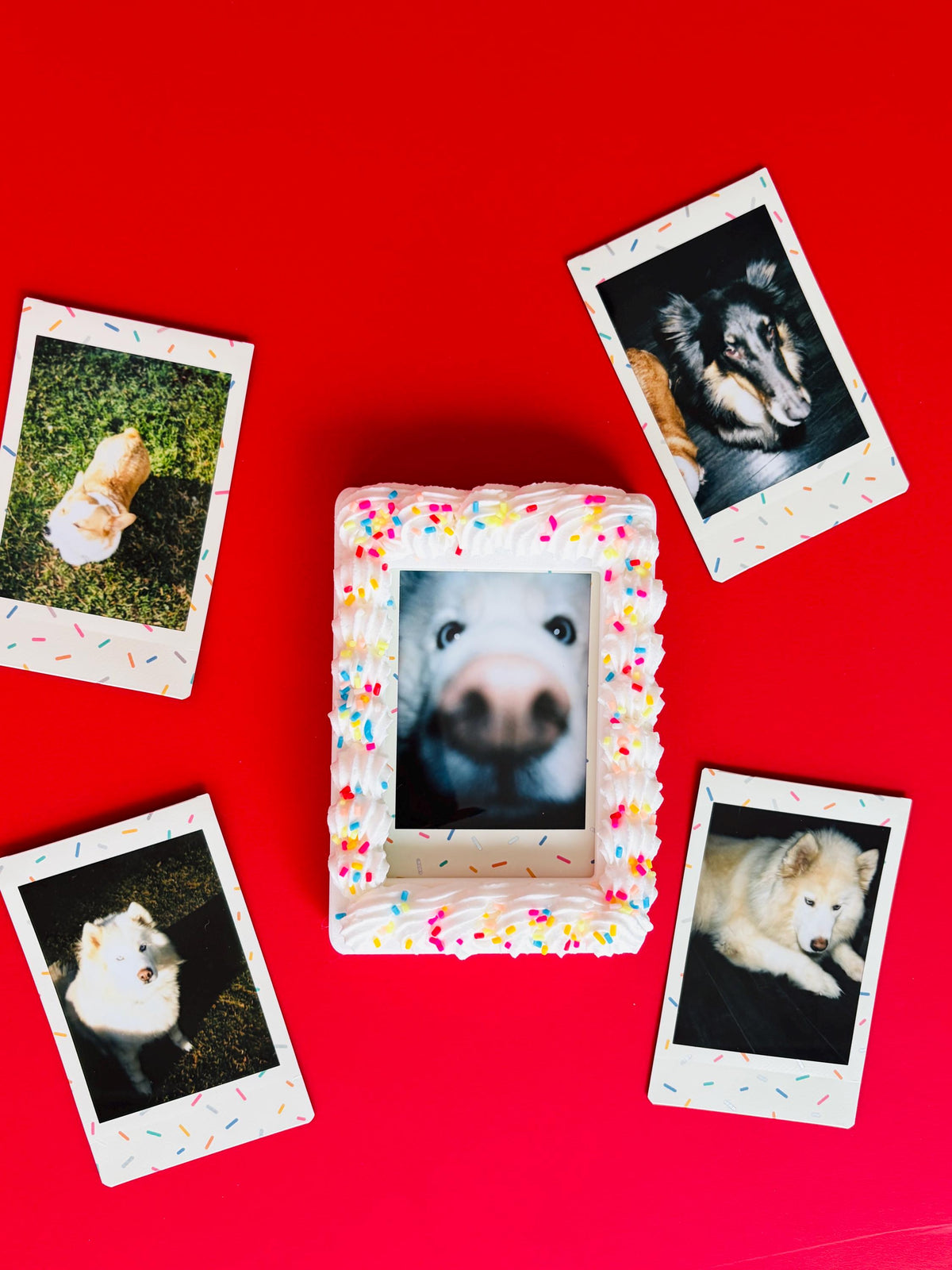 Instax Mini Fake Cake with Sprinkles Magnetic Frame