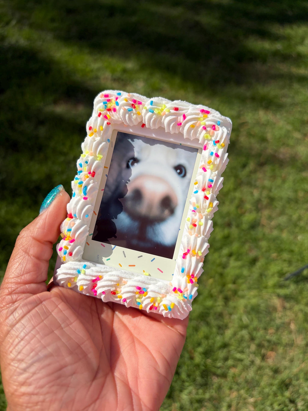 Instax Mini Fake Cake with Sprinkles Magnetic Frame