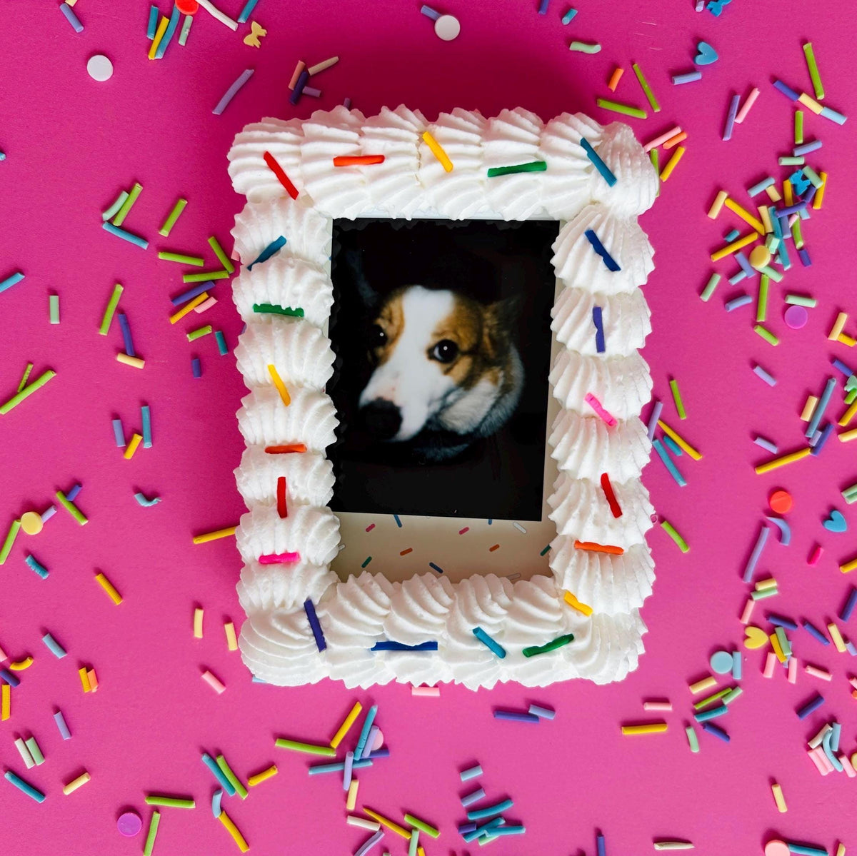Instax Mini Fake Cake Frame Magnet