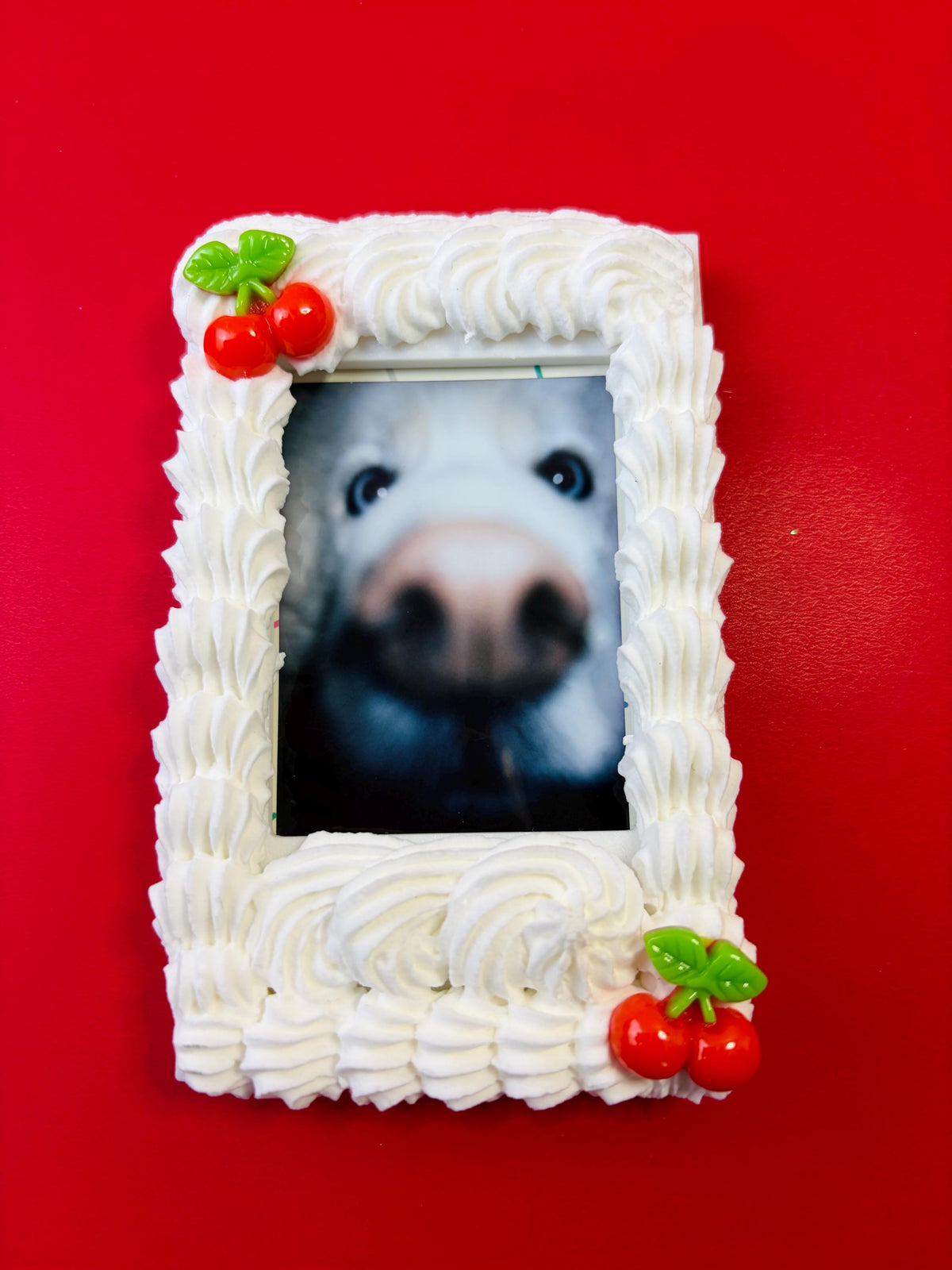 Instax Mini Fake Cake with Cherries Frame Magnet