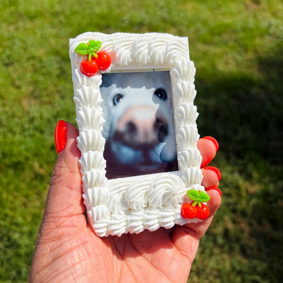 Instax Mini Fake Cake with Cherries Frame Magnet