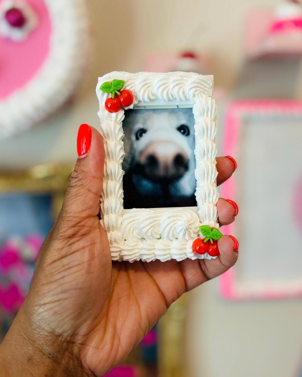Instax Mini Fake Cake with Cherries Frame Magnet