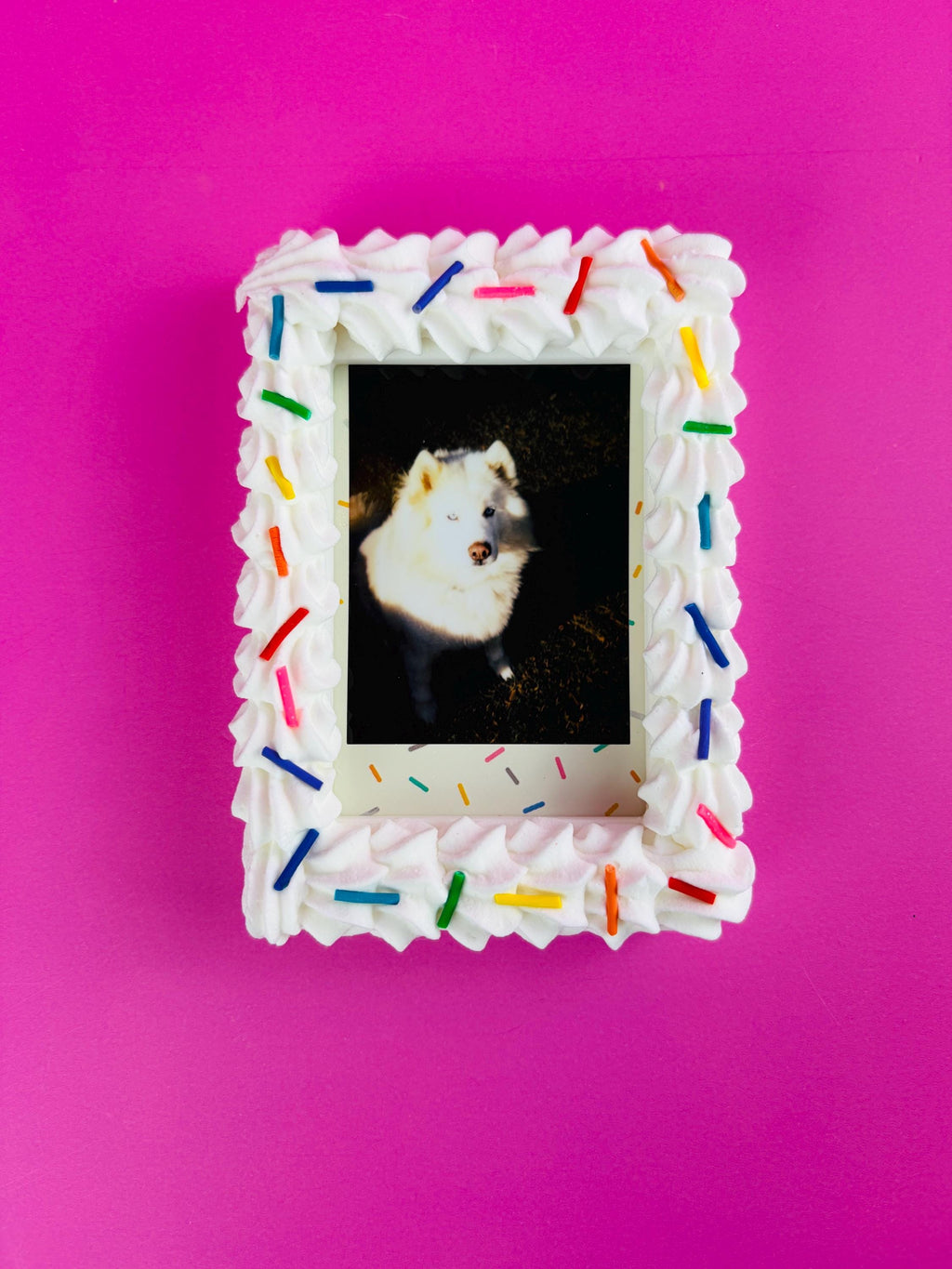 Instax Mini Fake Cake with Sprinkles Magnetic Frame