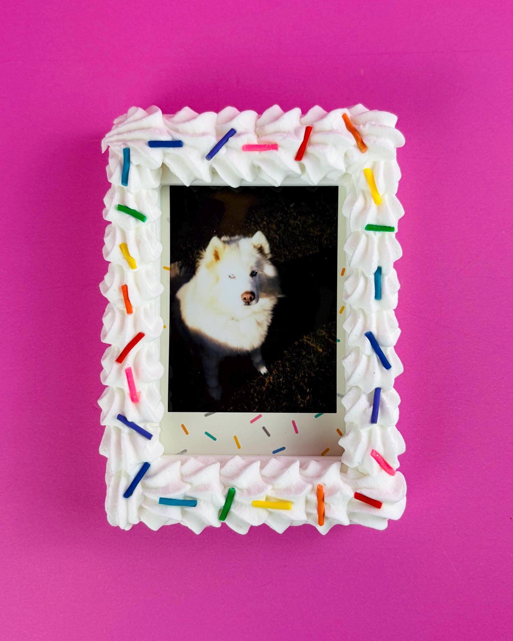 Instax Mini Fake Cake with Sprinkles Magnetic Frame