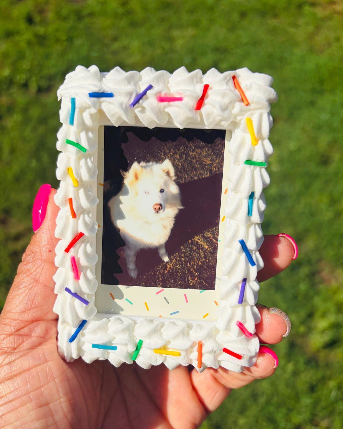 Instax Mini Fake Cake with Sprinkles Magnetic Frame