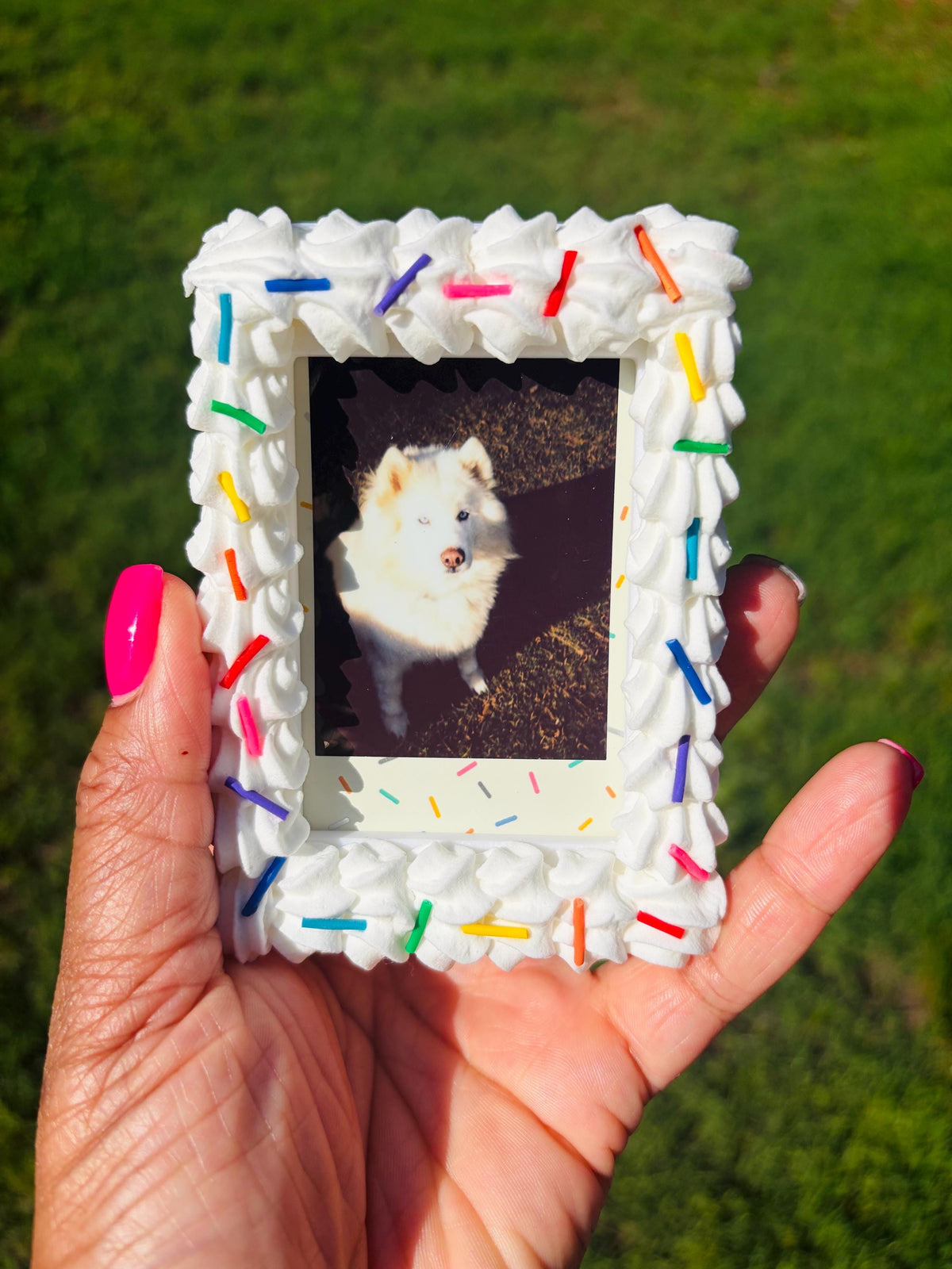 Instax Mini Fake Cake with Sprinkles Magnetic Frame