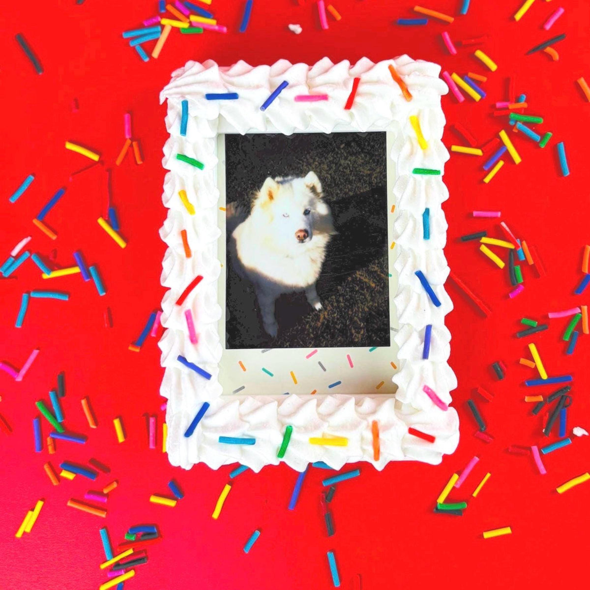 Instax Mini Fake Cake with Sprinkles Magnetic Frame