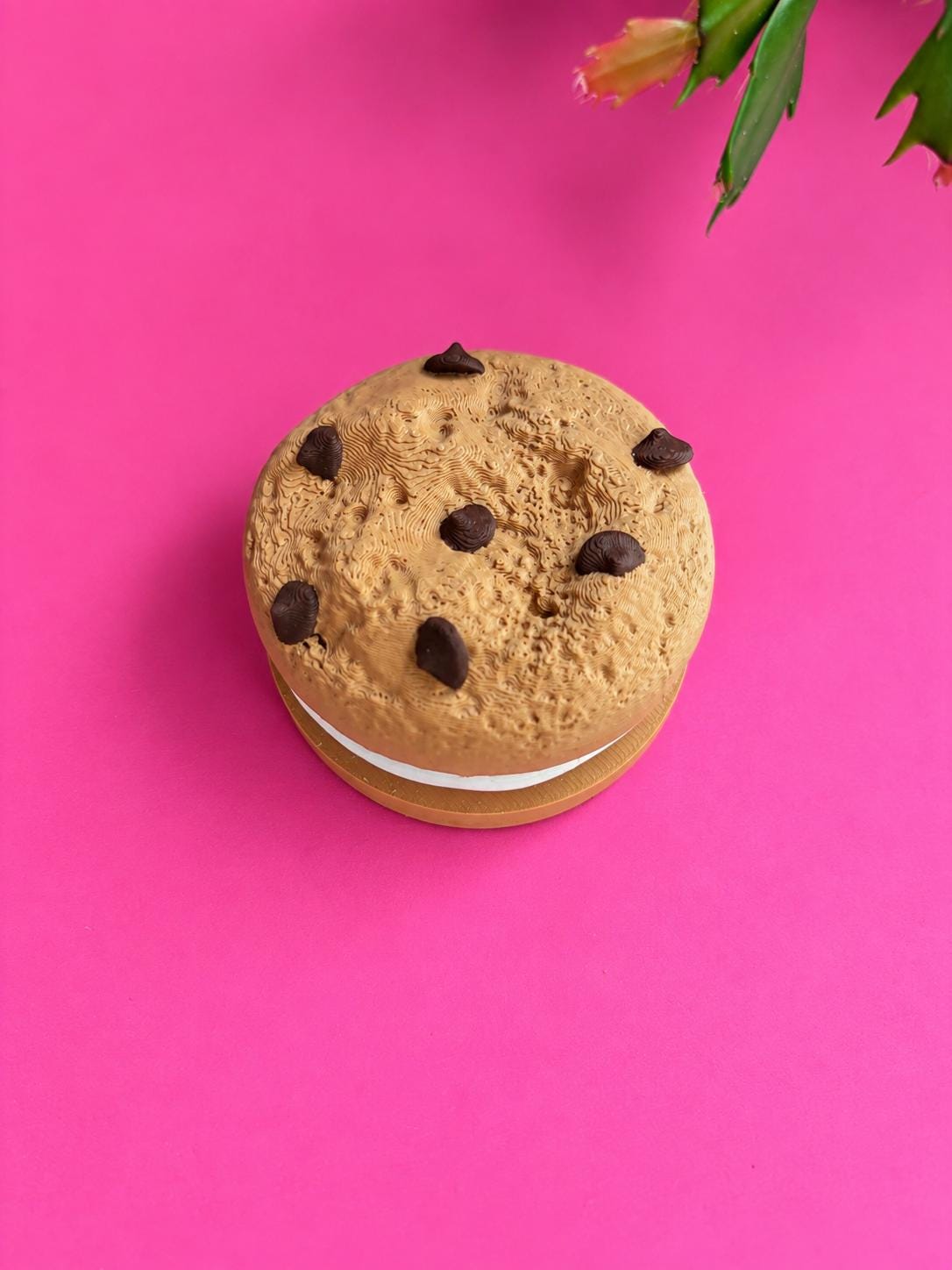 Chocolate Chip Cookie 7 Day Pill Organizer – Weekly Medication Case with Individual Containers