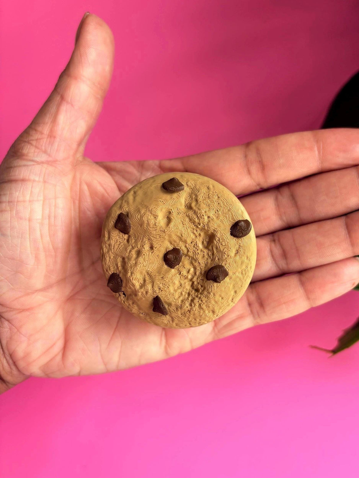 Chocolate Chip Cookie Pill Holder Larger AM PM | 3D Printed | Travel Case, Keychain Container