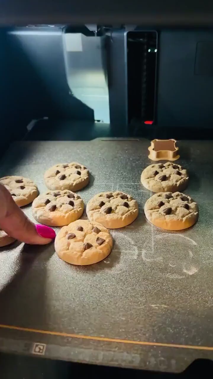Chocolate Chip Cookie Pill Holder Larger AM PM | 3D Printed | Travel Case, Keychain Container