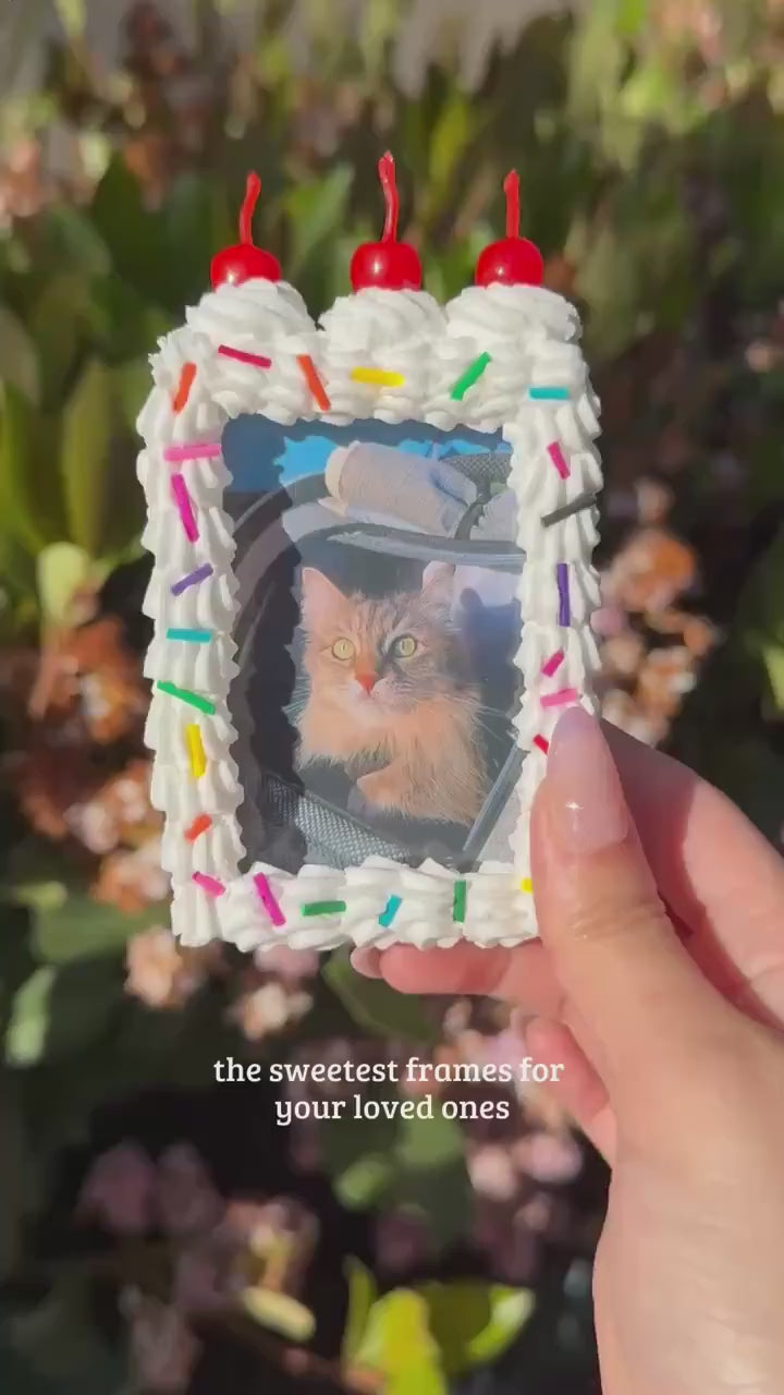 Fake Cake Polaroid Canon Ivy Zink Frame Photo Magnet - Free Photo Included